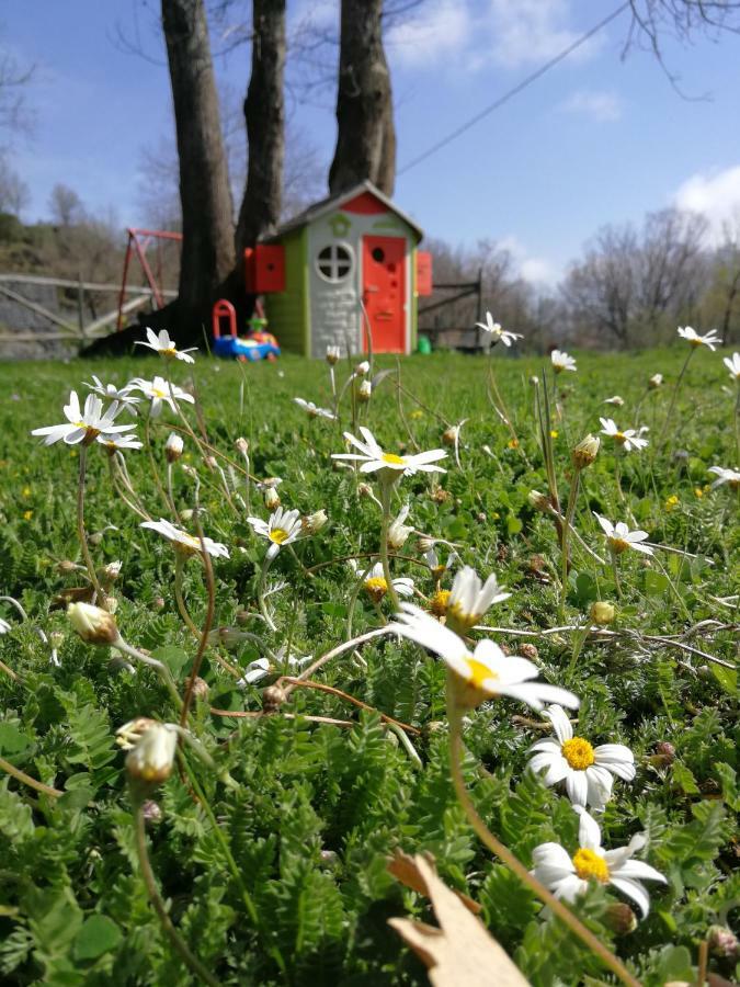 Bauernhof Viola Nel Parco